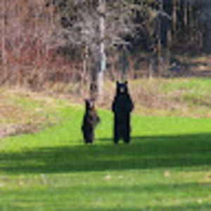 Meet your Posher, Kendall